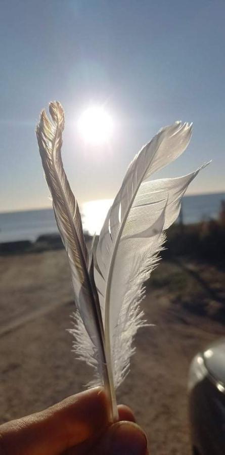 En Plein Coeur De L'Ile D'Oleron, Suite Parentale. 道拉斯奥莱龙 外观 照片