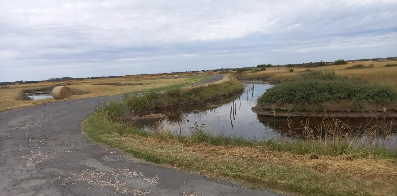 En Plein Coeur De L'Ile D'Oleron, Suite Parentale. 道拉斯奥莱龙 外观 照片